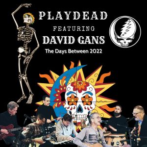 An evening with PlayDead featuring David Gans